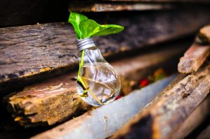 Innovazione e sostenibilità
